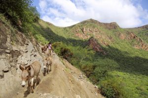 Salzarbeiter (Borana) mit ihren Eseln auf dem Weg in den El-Sod-Krater